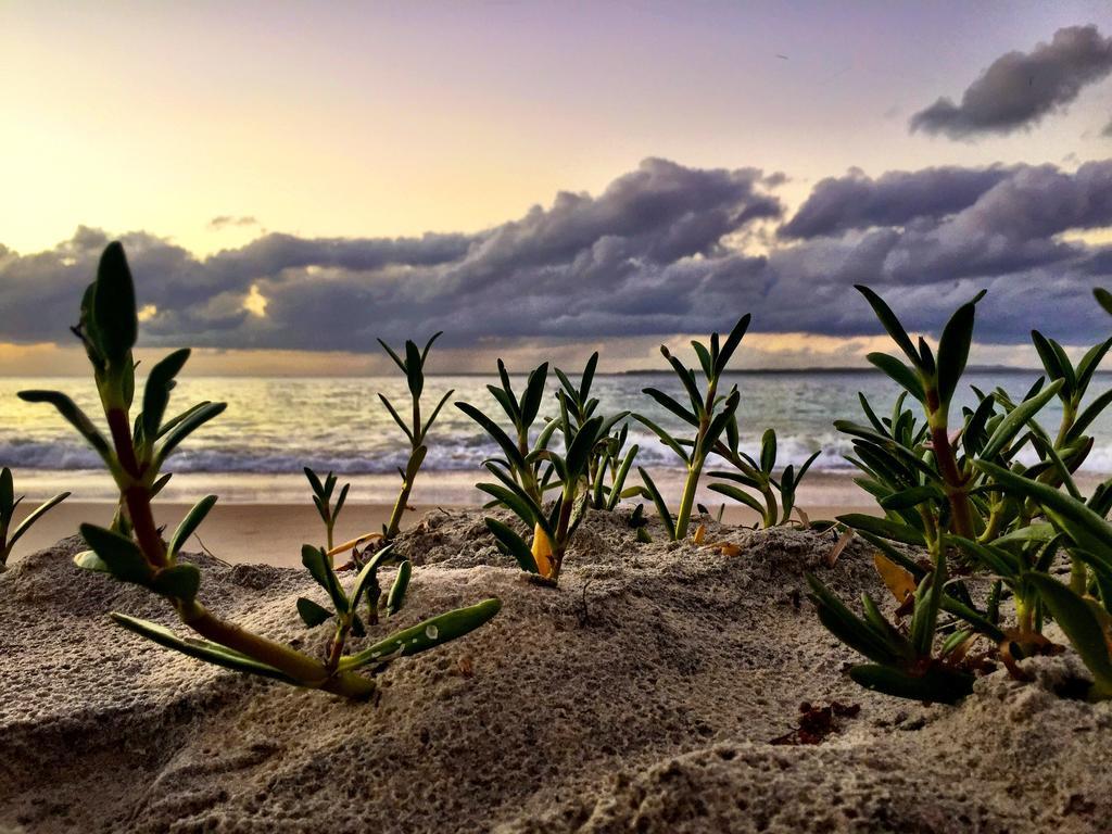 Stradbroke Island Beach Hotel 포인트 룩아웃 외부 사진